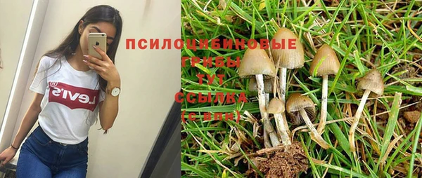 Альфа ПВП Абдулино