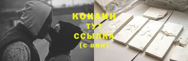 мет Алексин