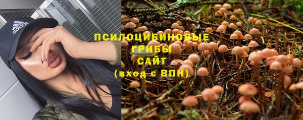 спайс Абаза