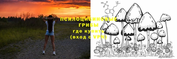 винт Абинск